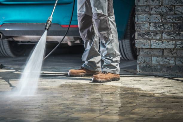 Best Pre-Holiday Cleaning  in Newton, IA